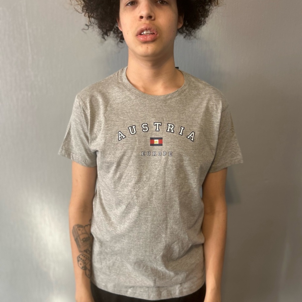 Austria Europe Gray T-Shirt